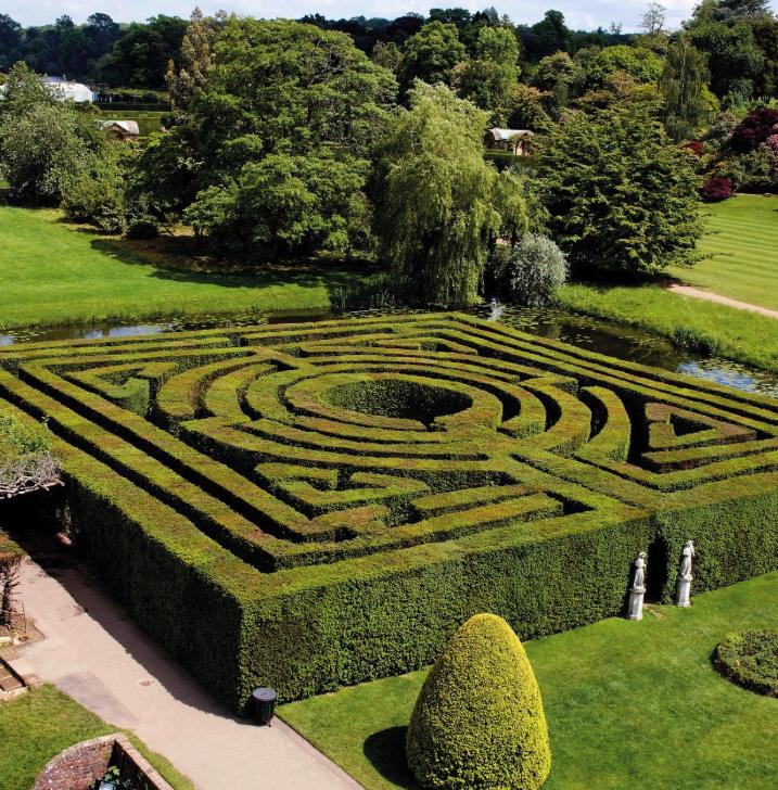 The hundred-year-old Yew Maze at Hever Castle seen from above